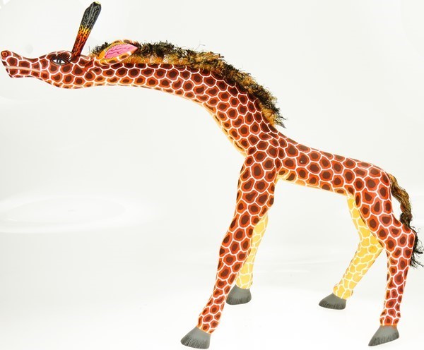 View Giraffe