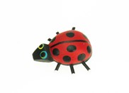 View Ladybug Magnet