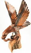 View Eagle with snake
